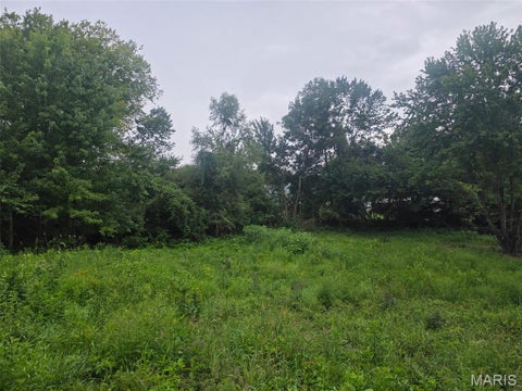 Tiny photo for 45 Ponder Rd RD, Elsberry, MO 63343 (MLS # 26055414)