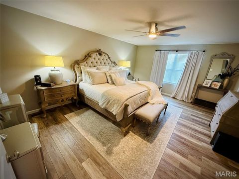 Tiny photo for 318 Regents Park Avenue, Wentzville, MO 63385 (MLS # 26026758)