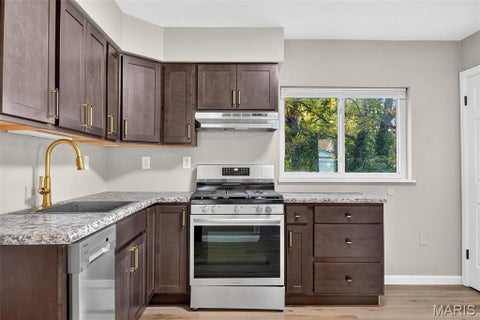 Tiny photo for 1131 Mount Olive Avenue, St Louis, MO 63130 (MLS # 26058632)