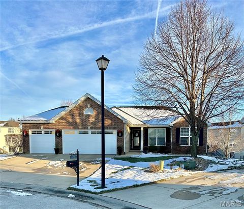 6904 Arbor Cove Drive Fairview Heights IL 62208