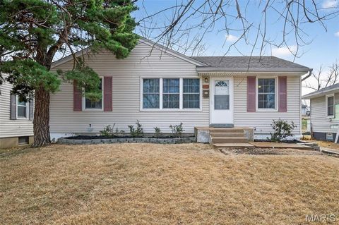 Photo of 9226 Tutwiler Avenue, St Louis, MO 63134 (MLS # 25079769)