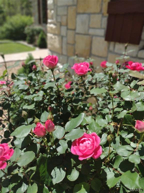 other rural - Residential