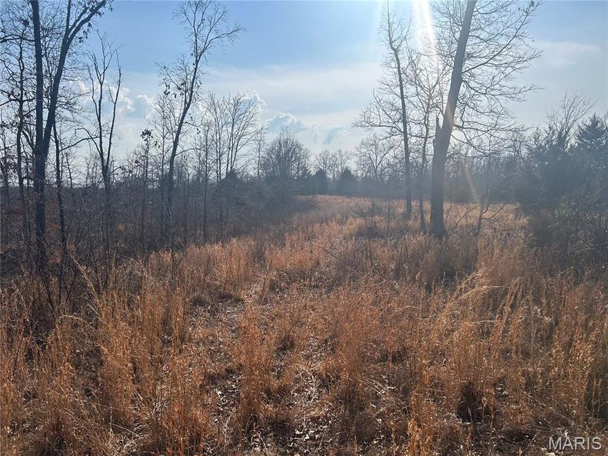 Premier Hunting & Recreation Property Bordering Mark Twain National Forest  Don't miss this exceptional opportunity to own a prime hunting and recreational tract adjoining the renowned Mark Twain National Forest on three sides. With hundreds of acres of public land surrounding the property, you'll enjoy unmatched access to expansive wilderness right out your back gate. This versatile property offers an ideal mix of mature woods and open areas, creating outstanding habitat for wildlife. The land is fully fenced with barbed wire and features beautiful open fields that are perfect for establishing food plots. Abundant mature hardwoods, along with cedar and pine trees, provide excellent cover and natural browse for deer and turkey. Multiple scenic building sites offer the perfect setting for your dream cabin or country home, with privacy and breathtaking views. Whether you enjoy UTV riding, horseback riding, hiking, or simply exploring the outdoors, this property is well-suited for year-round recreation. Located on a Forest Service road just 13 miles from Salem, known as the gateway to the Ozark National Scenic Riverways, you'll have convenient access to floating, fishing, and endless outdoor adventures. If you’ve been searching for a private hunting retreat with exceptional access to public land and outstanding recreational potential, this property deserves your attention.