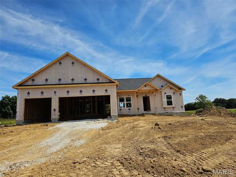 211 Hawkins Ridge Court Troy MO 63379