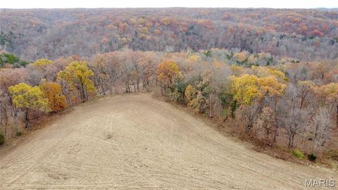Tiny photo for 5 Polston Ln, Marthasville, MO 63357 (MLS # 25077454)