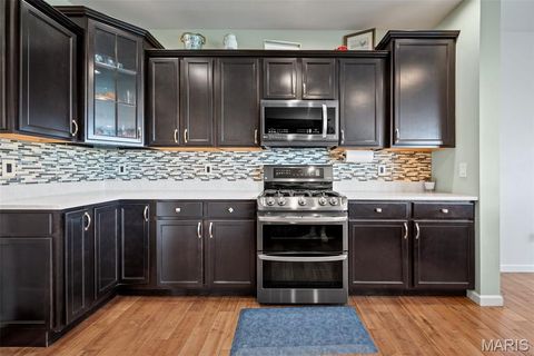 Tiny photo for 133 Wilmer Valley Drive, Wentzville, MO 63385 (MLS # 25067623)