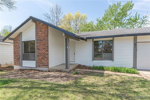 Tiny photo for 937 Napoli Drive, Ballwin, MO 63021 (MLS # 26021433)