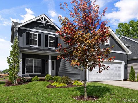 484 Austin Drive Truesdale MO 63380