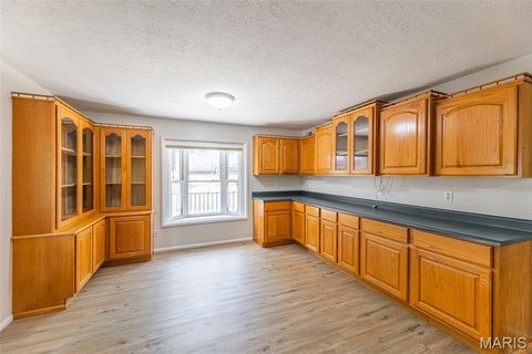 Tiny photo for 1004 Burford Court, Doniphan, MO 63935 (MLS # 26046781)