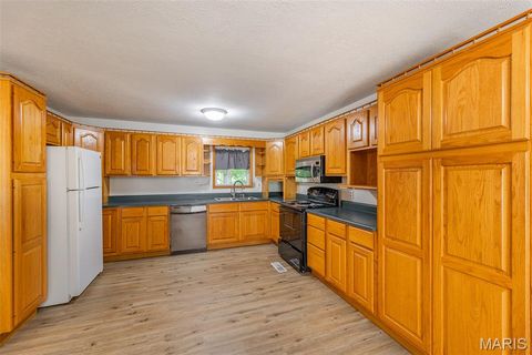 Tiny photo for 1004 Burford Court, Doniphan, MO 63935 (MLS # 26046781)