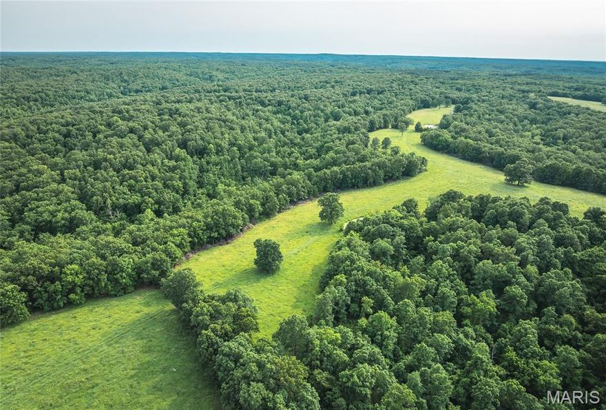 Discover the perfect blend of wooded timberland, open fields, and pasture, offering both privacy and versatility with this 426 acres. This beautiful property is located just minutes from the Upper Meramec River and Maramec Springs, making it an excellent retreat for trout fishing, outdoor recreation, and relaxation. An ideal setting for whitetail deer and turkey hunting, this land provides excellent habitat for wildlife, ensuring prime hunting opportunities throughout the seasons. Whether you're looking to build a getaway, establish a homestead, or simply enjoy the beauty of the Ozarks, this property offers endless potential. Escape to serenity and seclusion while remaining close to some of Missouri’s best outdoor destinations.