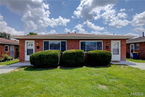 Photo of 10788 Tropic Drive, St Ann, MO 63074 (MLS # 26018853)