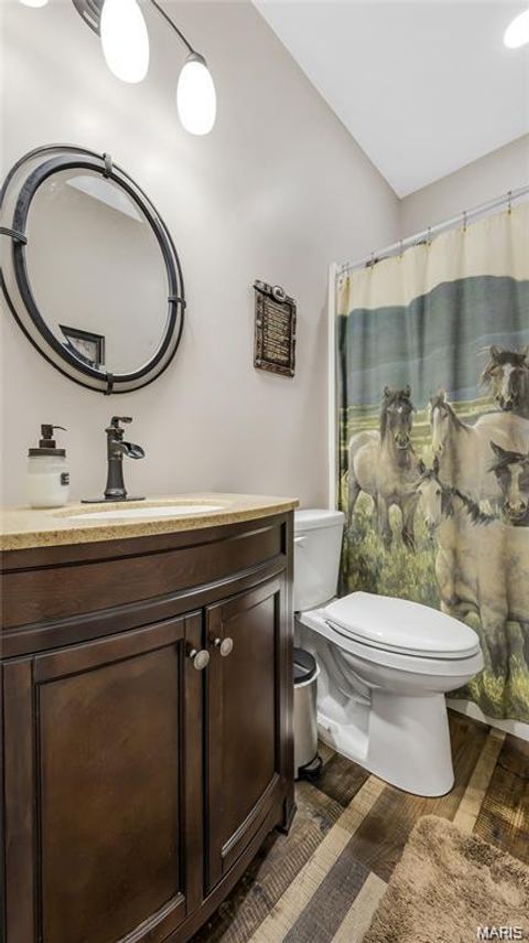 Tiny photo for 3700 State Road V, De Soto, MO 63020 (MLS # 26026463)