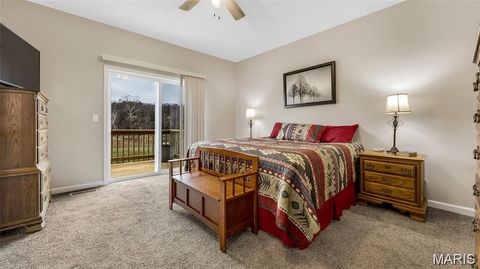 Tiny photo for 3700 State Road V, De Soto, MO 63020 (MLS # 26026463)
