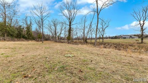 Tiny photo for 3700 State Road V, De Soto, MO 63020 (MLS # 26026463)