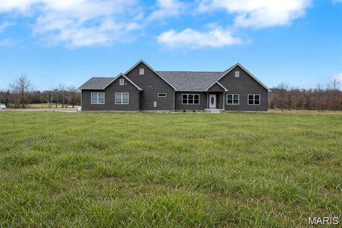 Tiny photo for 3700 State Road V, De Soto, MO 63020 (MLS # 26026463)