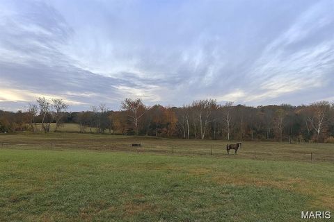 Tiny photo for 3700 State Road V, De Soto, MO 63020 (MLS # 26026463)
