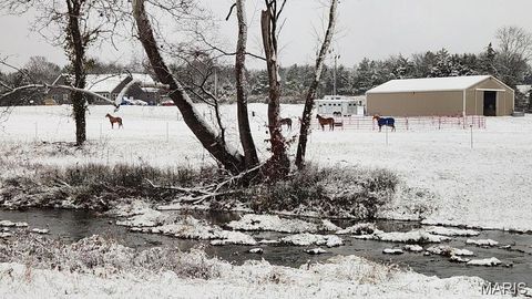 Tiny photo for 3700 State Road V, De Soto, MO 63020 (MLS # 26026463)