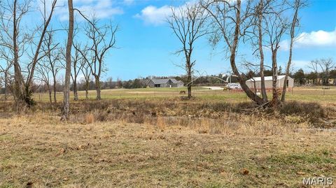 Tiny photo for 3700 State Road V, De Soto, MO 63020 (MLS # 26026463)
