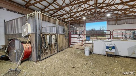 Tiny photo for 3700 State Road V, De Soto, MO 63020 (MLS # 26026463)