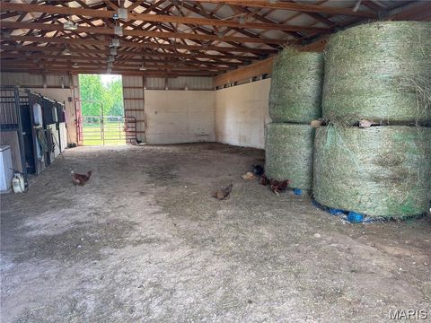 Tiny photo for 3700 State Road V, De Soto, MO 63020 (MLS # 26026463)
