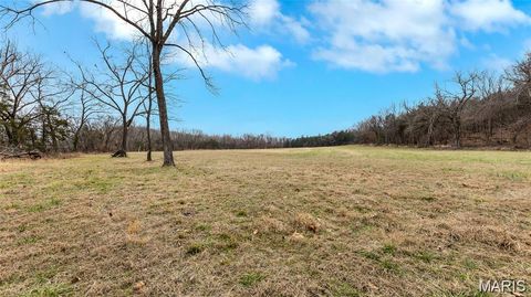 Tiny photo for 3700 State Road V, De Soto, MO 63020 (MLS # 26026463)