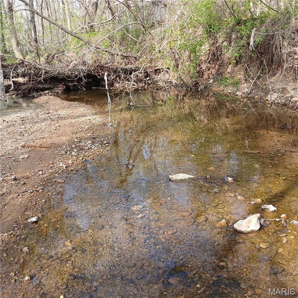 Photo of 8319 Highway 21, Ironton, MO 63650 (MLS # 26021489)