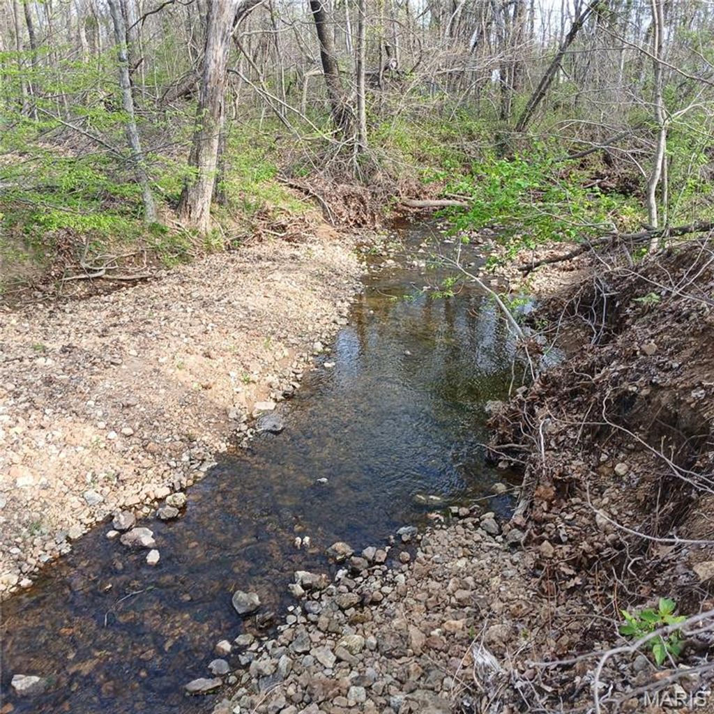 Photo of 8319 Highway 21, Ironton, MO 63650 (MLS # 26021489)