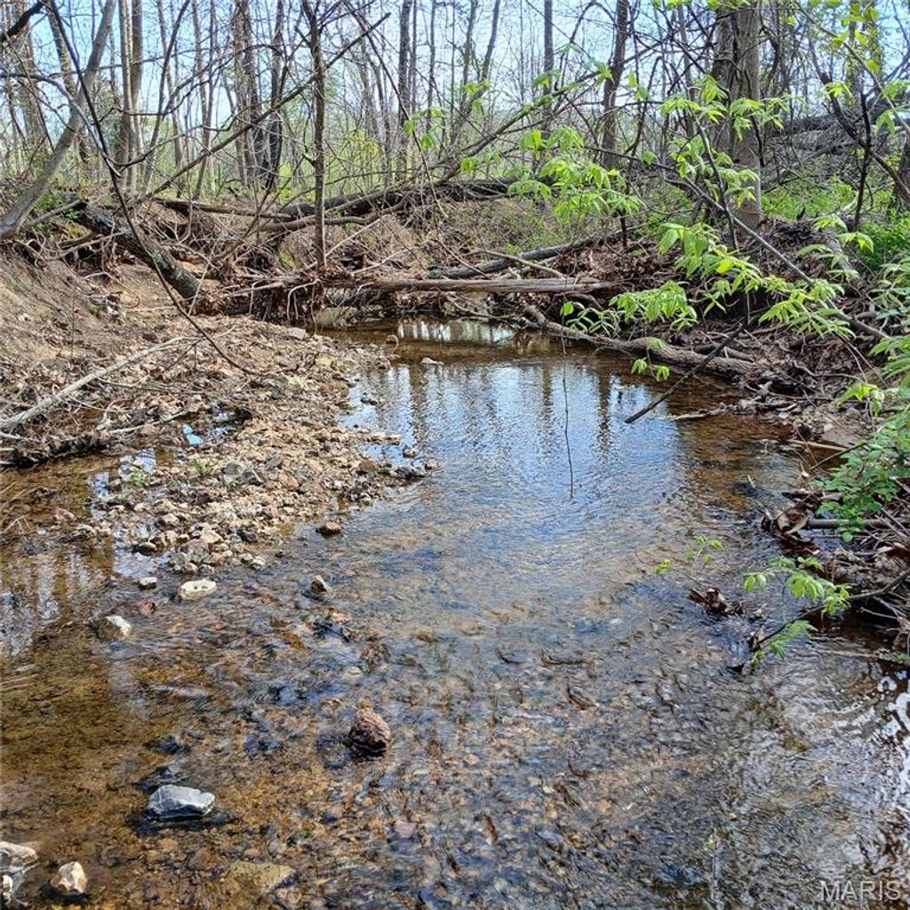 Photo of 8319 Highway 21, Ironton, MO 63650 (MLS # 26021489)