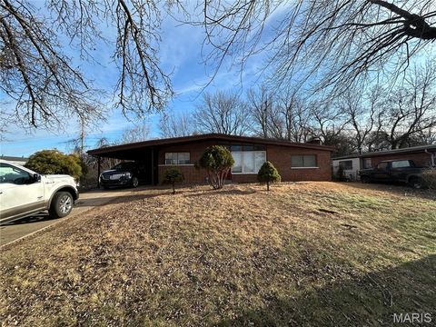 2052 Sun Valley Drive Unincorporated MO 63136