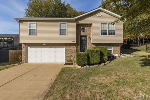 1909 Iditarod Trail Festus MO 63028