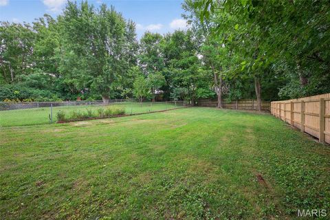 Tiny photo for 2010 Blendon Place, St Louis, MO 63143 (MLS # 25070416)