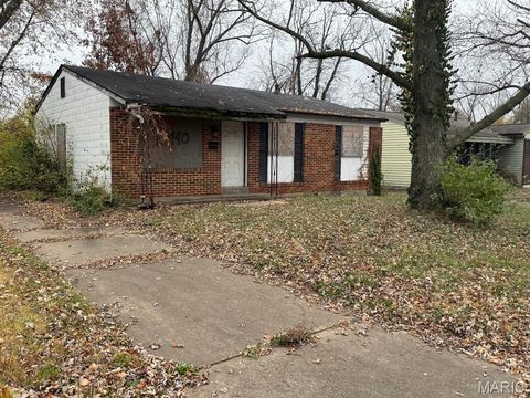 Photo of 10440 Royal Drive, Unincorporated, MO 63136 (MLS # 25082215)