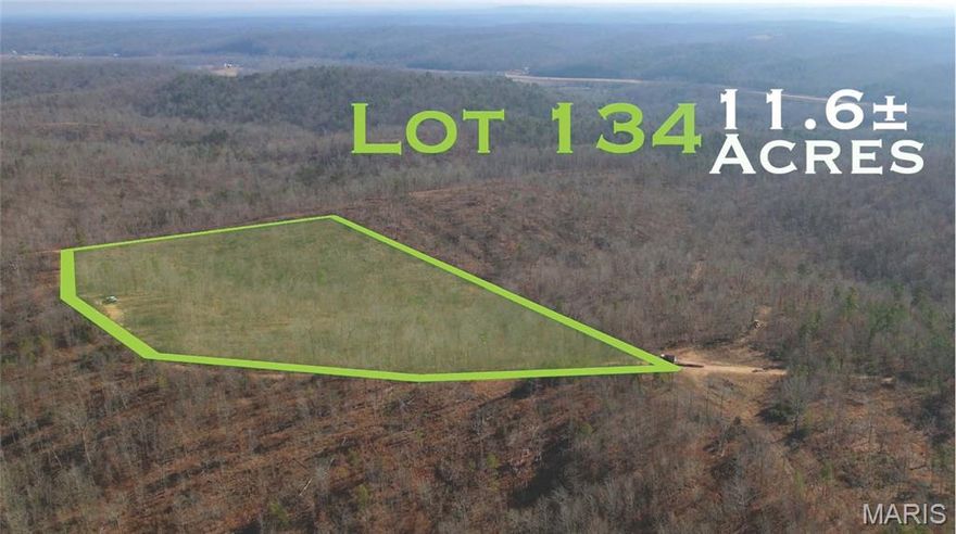 Own your own secluded slice of the Missouri Ozarks! This all-wooded property is located in Madison County, MO minutes from US Highway 67 accessed off CR411. The tracts offers amazing scenic views in multiple directions. Ideal for the nature enthusiast or homesteading connoisseur, this land offers endless potential for outdoor recreation, hunting, camping, or simply communing with nature. If more acreage is desired, there is additional acreage available adjacent to this tract as well as over 20k acres of Mark Twain National Forest nearby. This property is unincorporated and unrestricted so all building types and uses are permitted. Don't miss your chance to own a piece of the Ozarks!