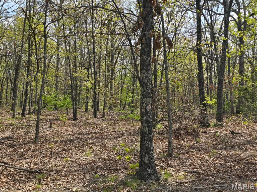 Greatview Addition - Land