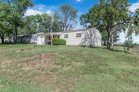 Photo of 36 Boles Avenue, Wentzville, MO 63385 (MLS # 25067725)