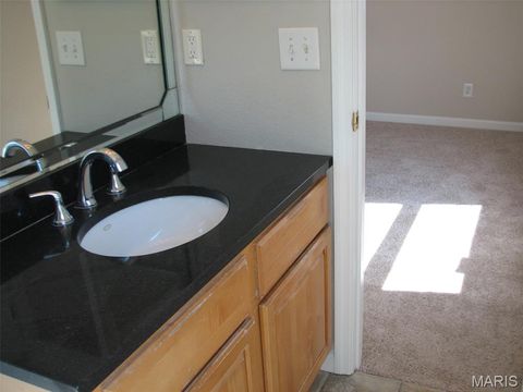 Tiny photo for 219 Charmers Court Ct, Kirkwood, MO 63122 (MLS # 25064491)