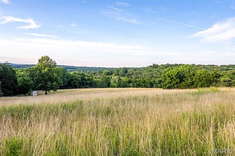 Tiny photo for 2393 Highway Z, Hermann, MO 65041 (MLS # 26041968)
