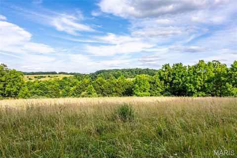 Tiny photo for 2393 Highway Z, Hermann, MO 65041 (MLS # 26041968)