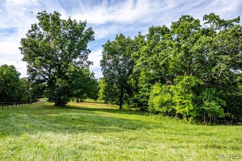 Tiny photo for 2393 Highway Z, Hermann, MO 65041 (MLS # 26041968)