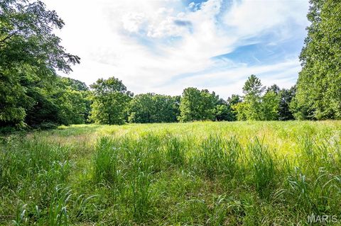 Tiny photo for 2393 Highway Z, Hermann, MO 65041 (MLS # 26041968)