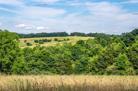 Tiny photo for 2393 Highway Z, Hermann, MO 65041 (MLS # 26041968)