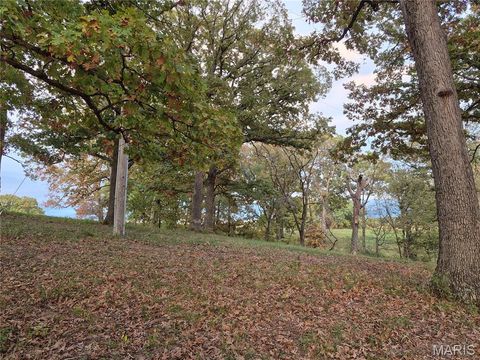 Tiny photo for 0 Highway D (15+/- Acres) Tract 11, Eolia, MO 63344 (MLS # 25080783)