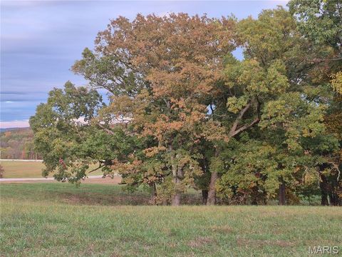 Tiny photo for 0 Highway D (15+/- Acres) Tract 11, Eolia, MO 63344 (MLS # 25080783)