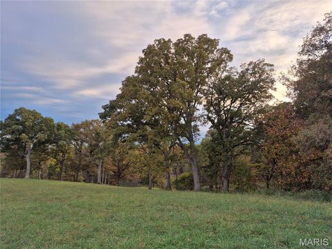 Tiny photo for 0 Highway D (15+/- Acres) Tract 11, Eolia, MO 63344 (MLS # 25080783)