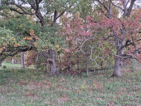 Tiny photo for 0 Highway D (15+/- Acres) Tract 11, Eolia, MO 63344 (MLS # 25080783)