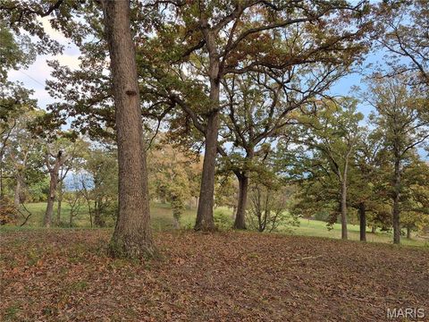 Tiny photo for 0 Highway D (15+/- Acres) Tract 11, Eolia, MO 63344 (MLS # 25080783)