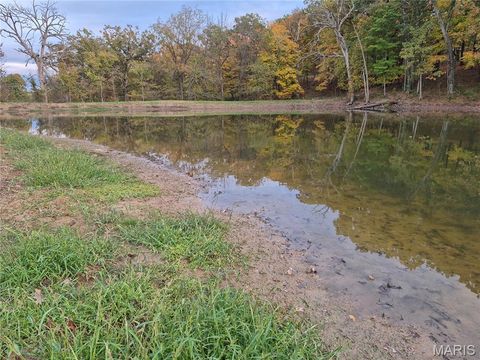 Tiny photo for 0 Highway D (15+/- Acres) Tract 11, Eolia, MO 63344 (MLS # 25080783)