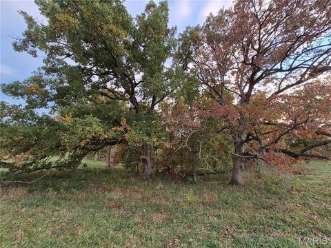 Tiny photo for 0 Highway D (15+/- Acres) Tract 11, Eolia, MO 63344 (MLS # 25080783)