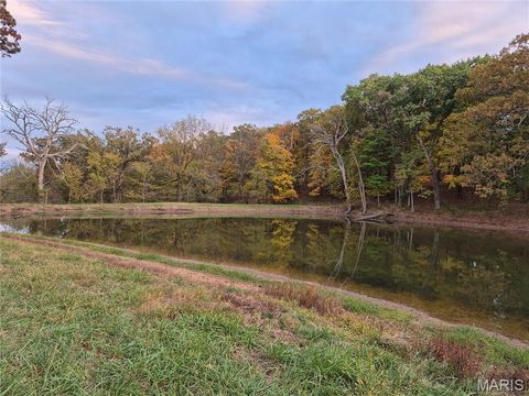 Tiny photo for 0 Highway D (15+/- Acres) Tract 11, Eolia, MO 63344 (MLS # 25080783)